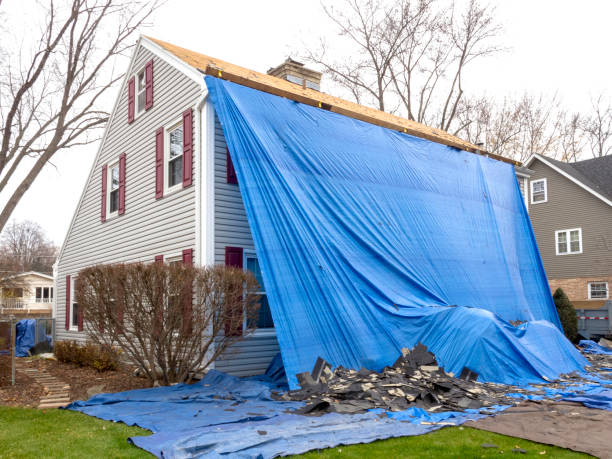 Best Hoarding Cleanup  in Grandview, MO